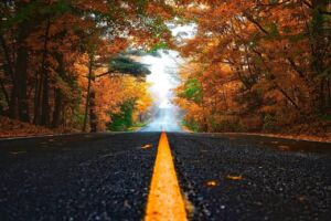 Disfrutar el otoño