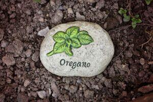 Orégano