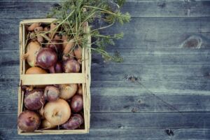 Alimentos