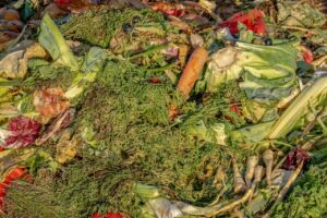 Fertilizantes